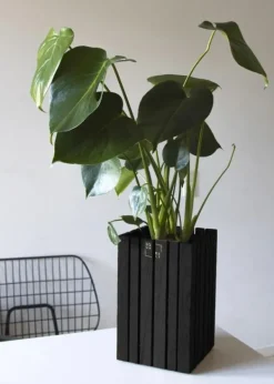 SQUARELY CPH GrowSMALL