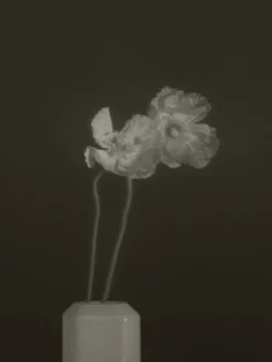 Clearance Louise Roe Jewel Vase 03 Clear