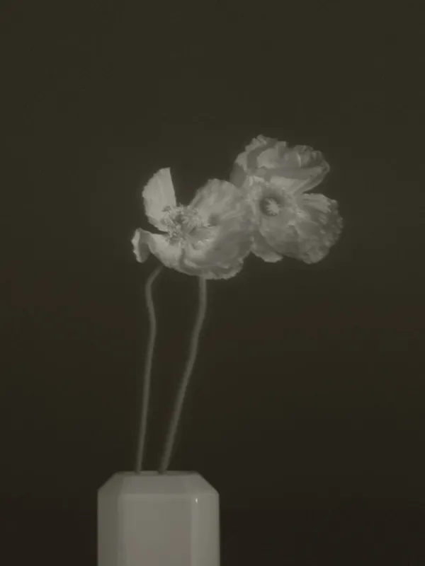 Clearance Louise Roe Jewel Vase 03 Clear