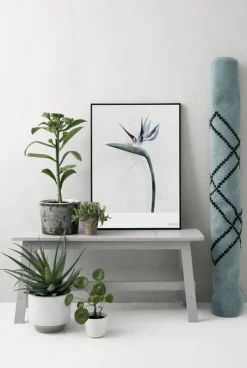 ViSSEVASSE Vee Speers - Botanic Series