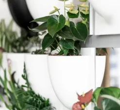Best Verti Copenhagen Vertiplants BIO Dusty Green / Large