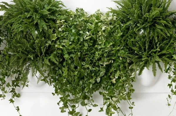 Best Verti Copenhagen Vertiplants BIO Dusty Green / Large