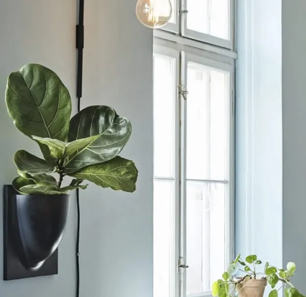 Best Verti Copenhagen Vertiplants BIO Dusty Green / Large