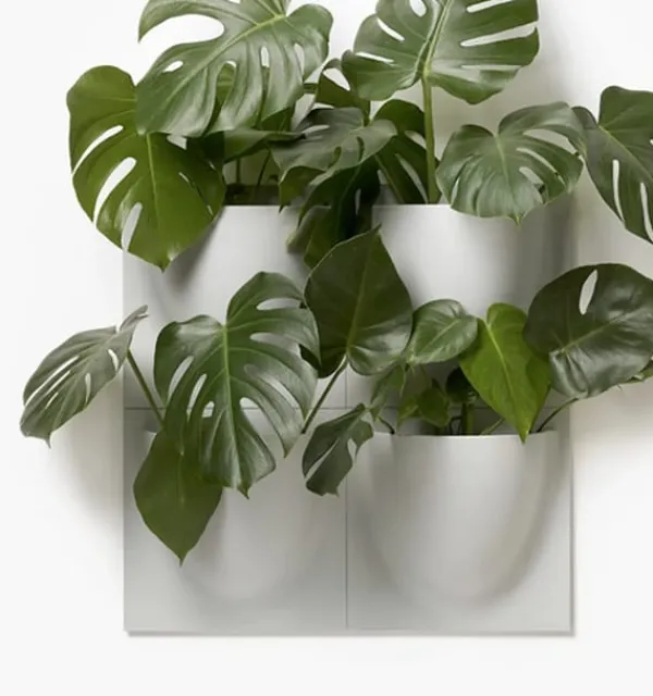 Best Verti Copenhagen Vertiplants BIO Dusty Green / Large